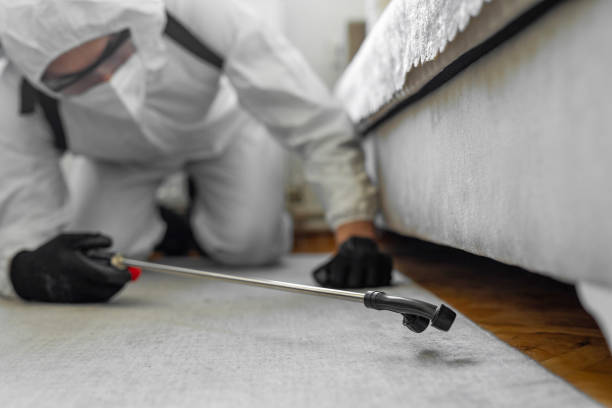 Professional Ant Control technician working in Mazomanie, WI
